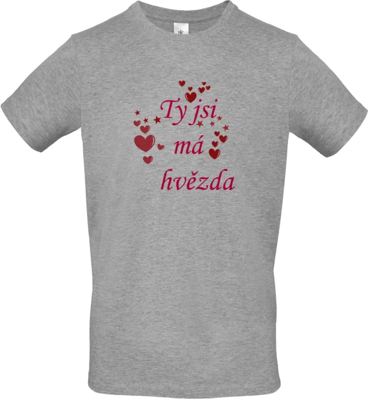 pánské sportovní šedé tričko Ty jsi má hvězda