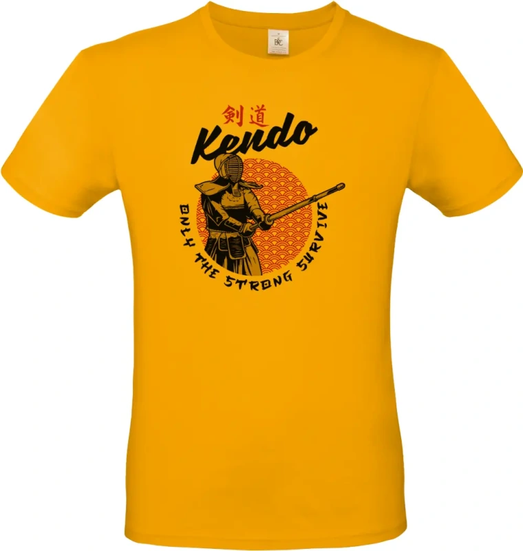 pánské meruňkové tričko Kendo