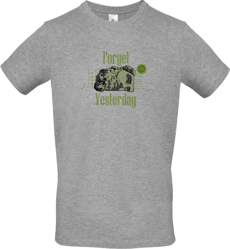 pánské sportovní šedé tričko Forget Yesterday