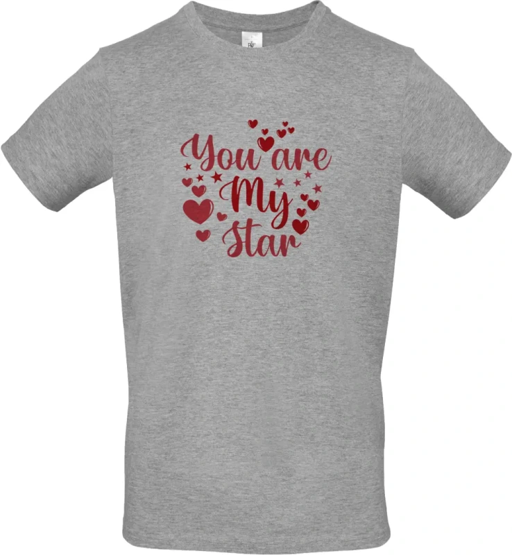 pánské sportovní šedé tričko You Are My Star