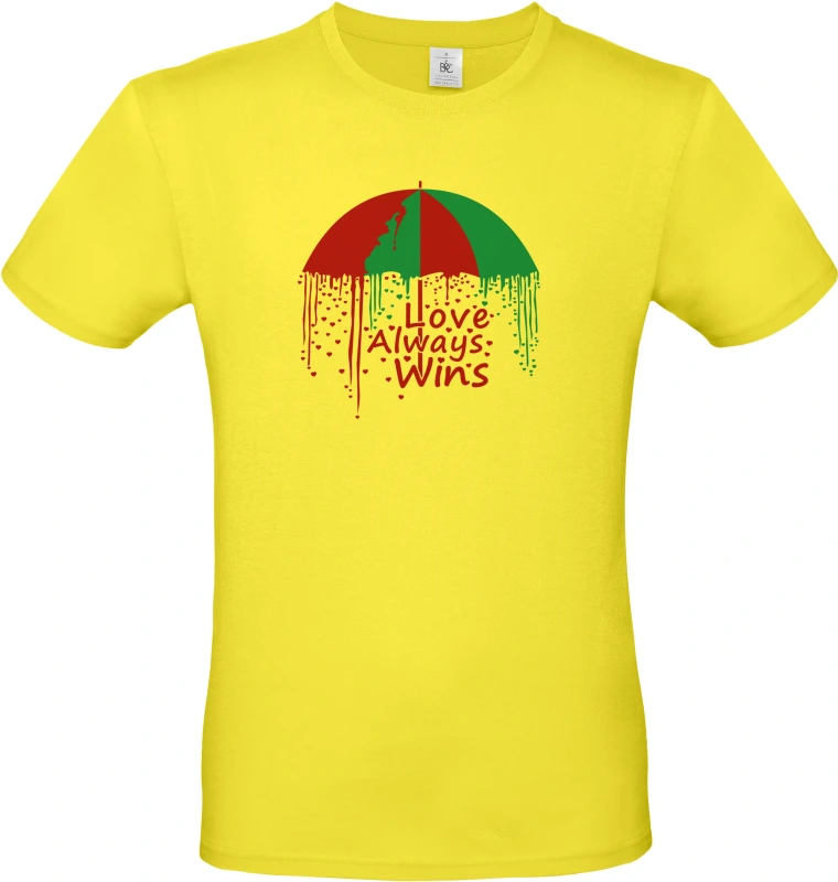 Pánské tričko Love Always Wins 1