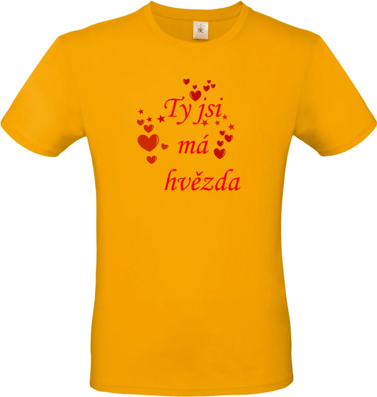 Pánské tričko Ty jsi má hvězda 2