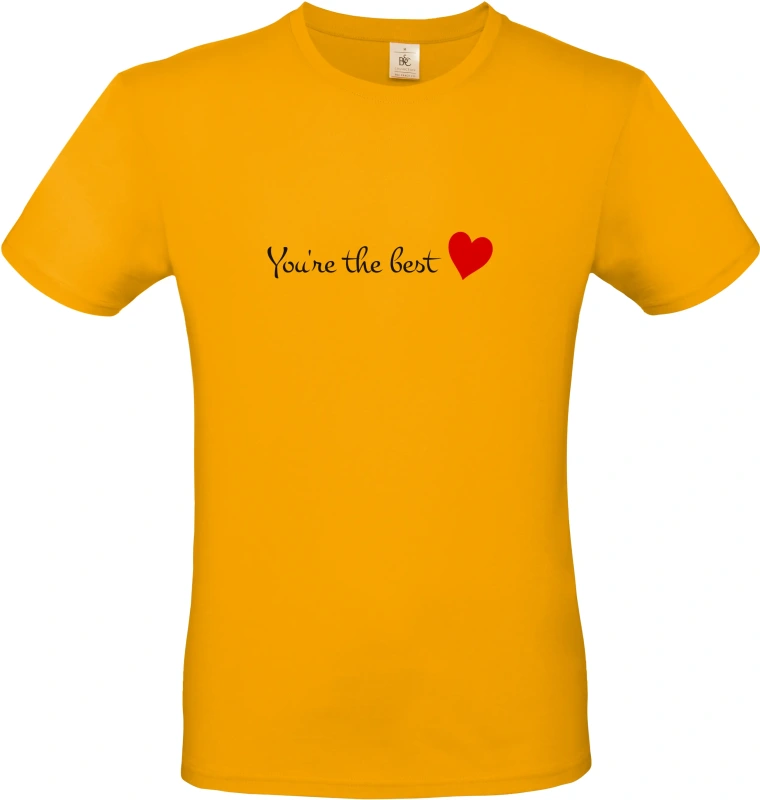 Pánské tričko You're The Best 2