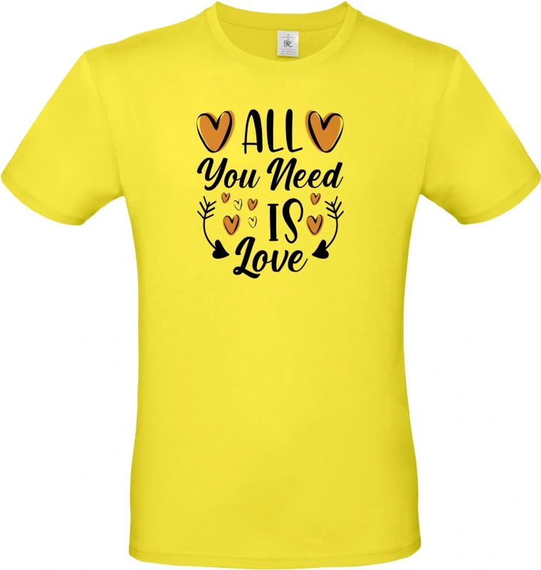 Pánské tričko All You Need Is Love 1