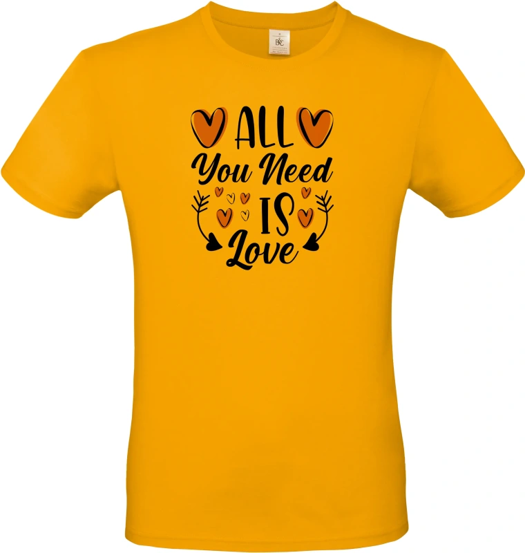 Pánské tričko All You Need Is Love 2