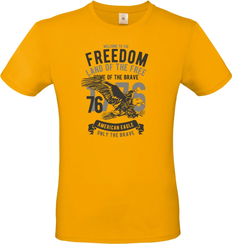 Pánské tričko Welcome To The Freedom 3