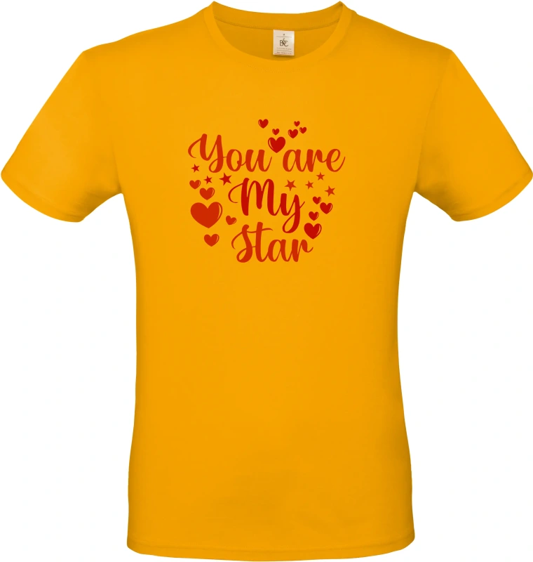 Pánské tričko You Are My Star 2