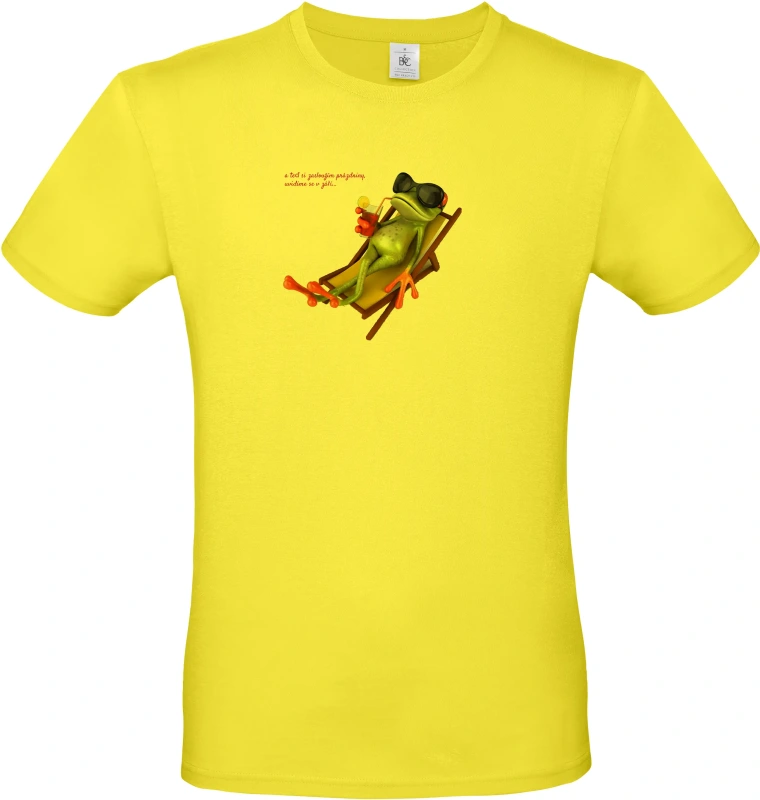 Pánské tričko Žába na prázdninách s textem 1