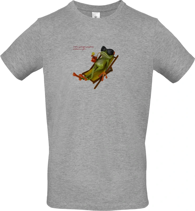 Pánské tričko Žába na prázdninách s textem 2